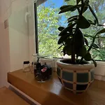 Apartment Azimut Hisa *