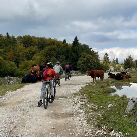 Azimut Hisa Апартаменты Толмин