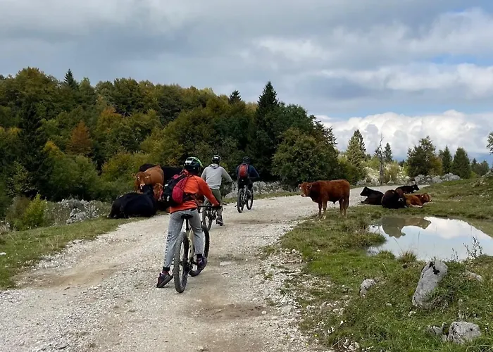 Azimut Hisa アパート トールミン