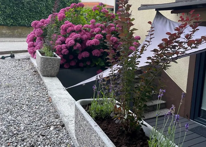 Azimut Hisa アパート *